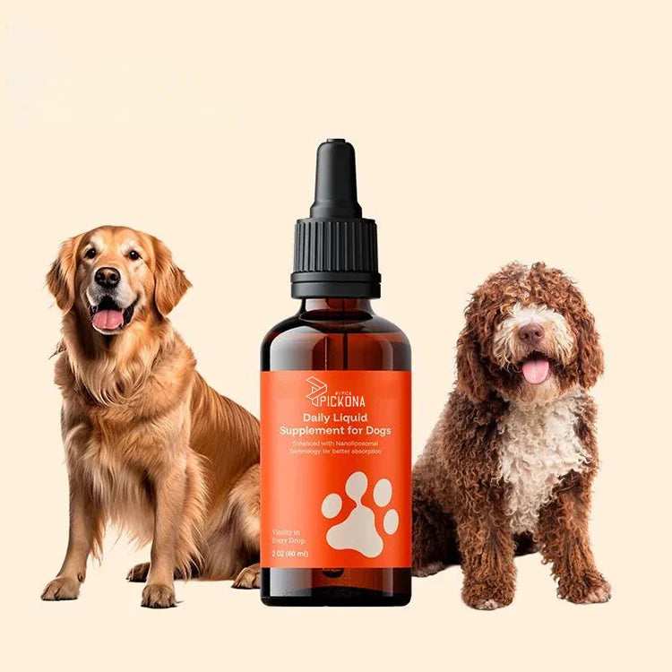Daily Vitality Drops for Your Dogs