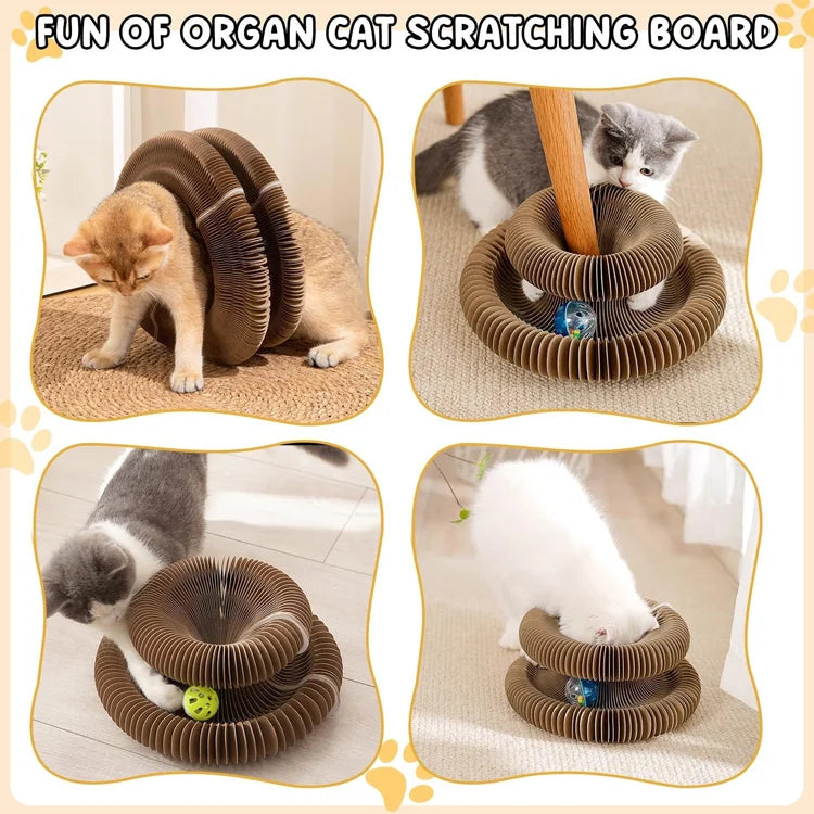PurrMagic Organ Cat Scratcher & Accordion Toy