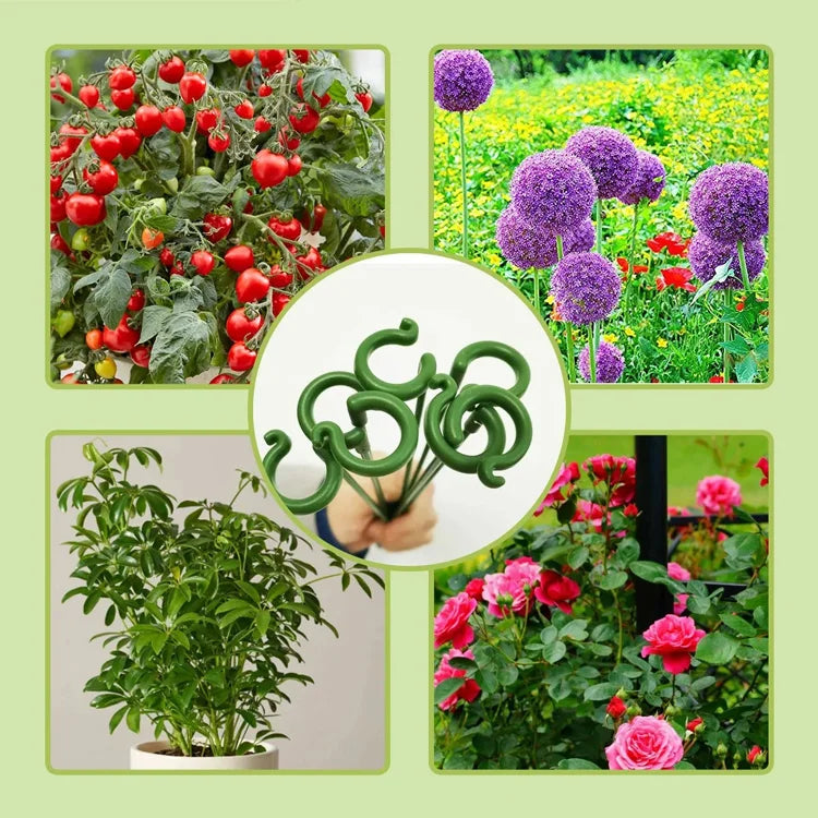 🌿Plant Support Stakes with Rings – Durable Fiberglass Stem Holders