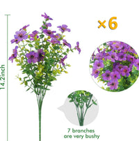 Purple(Set of 6)