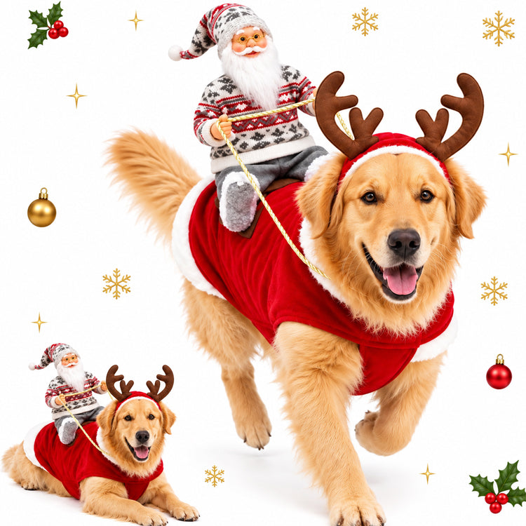 3D Santa Rider Christmas Dog Costume