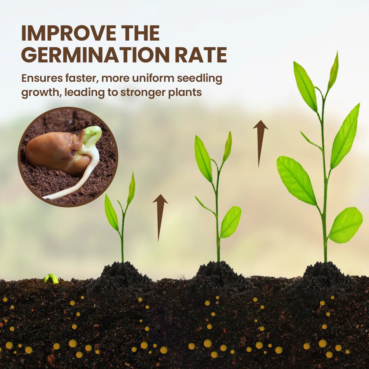 🌸 Spring Garden Sale – Up To 72% OFF - Soil Pro Activator