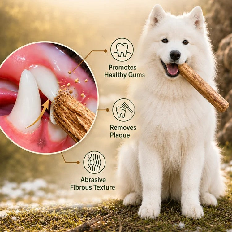 Original Natural Chew