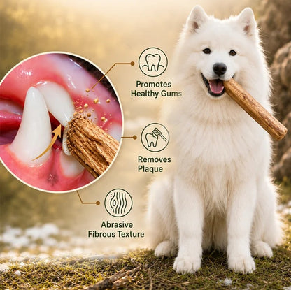 Original Natural Chew