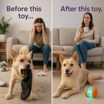 PetSkitter™ Automatic Moving Toy for Endless Pet Fun