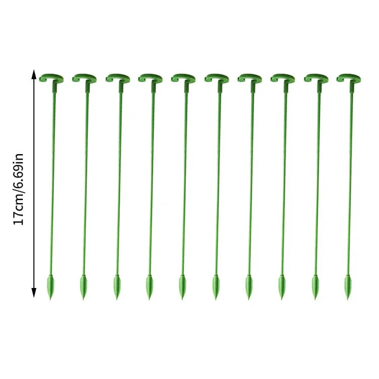 🌿Plant Support Stakes with Rings – Durable Fiberglass Stem Holders