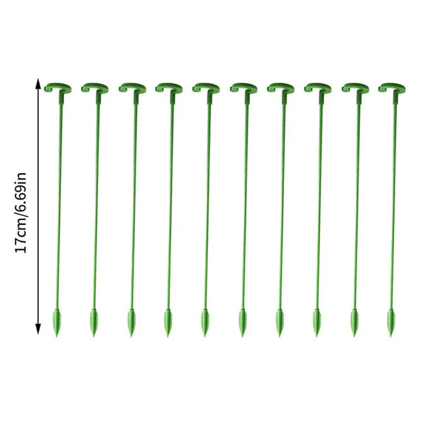 🌿Plant Support Stakes with Rings – Durable Fiberglass Stem Holders