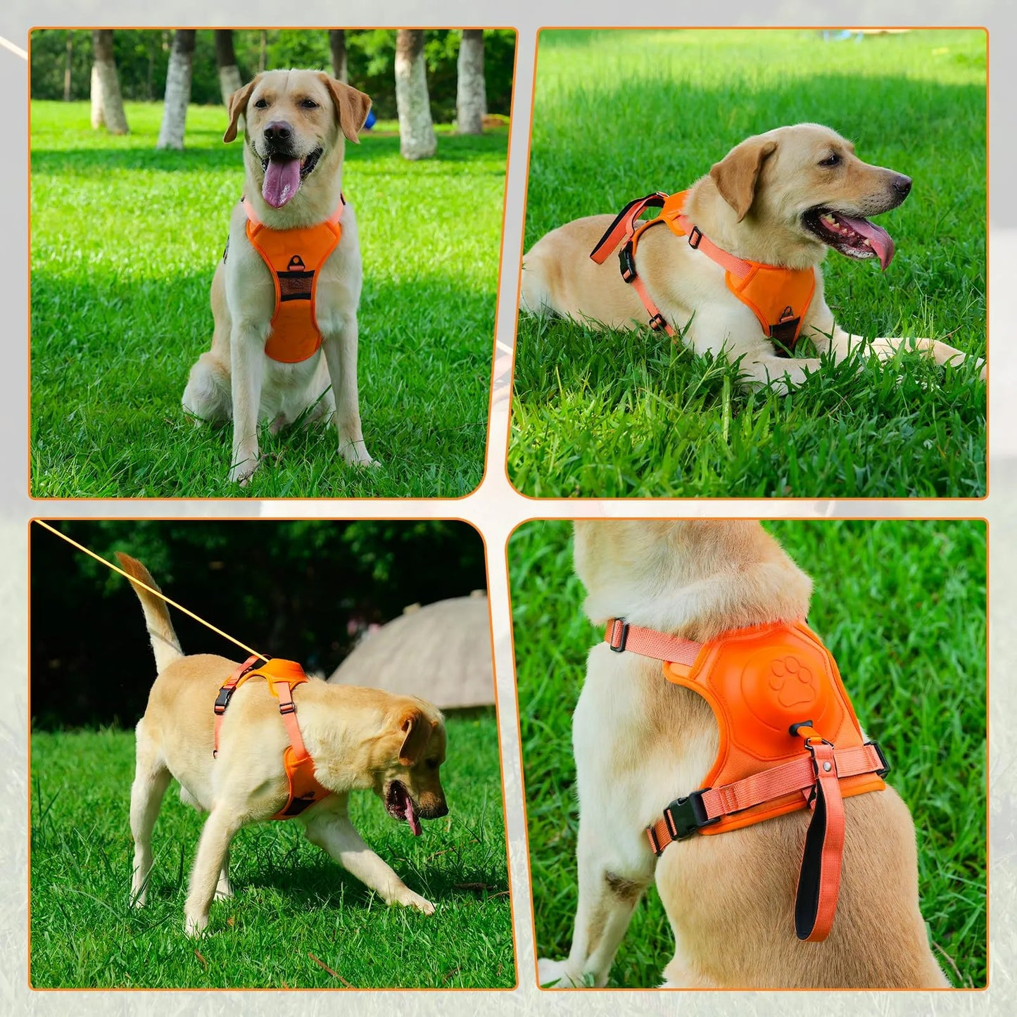 StrideMate Retractable Harness & Leash All-in-One
