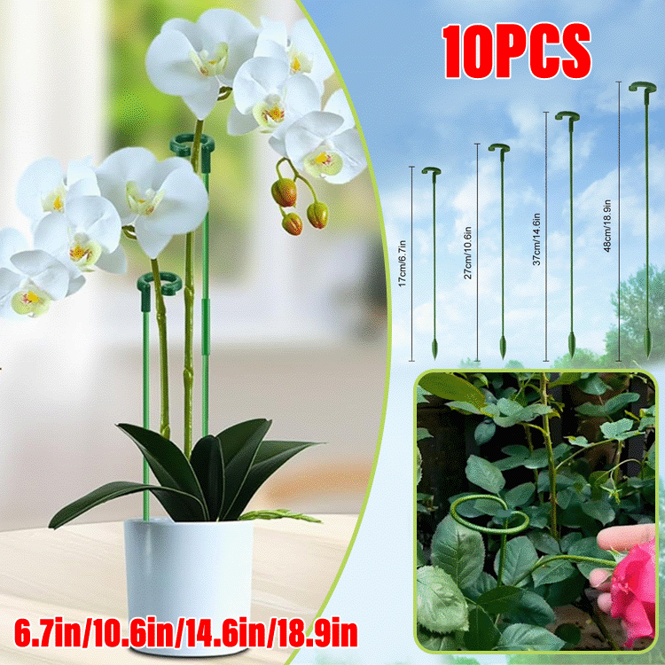 🌿Plant Support Stakes with Rings – Durable Fiberglass Stem Holders