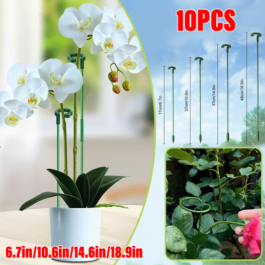 🌿Plant Support Stakes with Rings – Durable Fiberglass Stem Holders