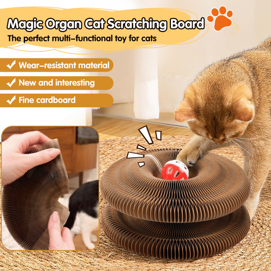 PurrMagic™ Organ Cat Scratcher & Accordion Toy