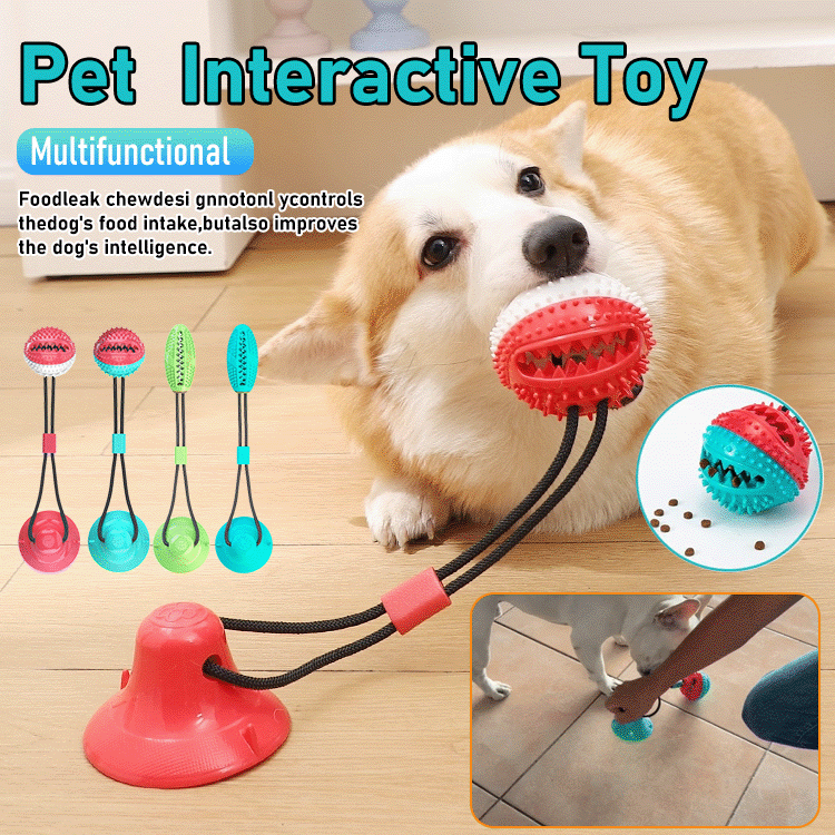PawGrip Interactive Chew Ball