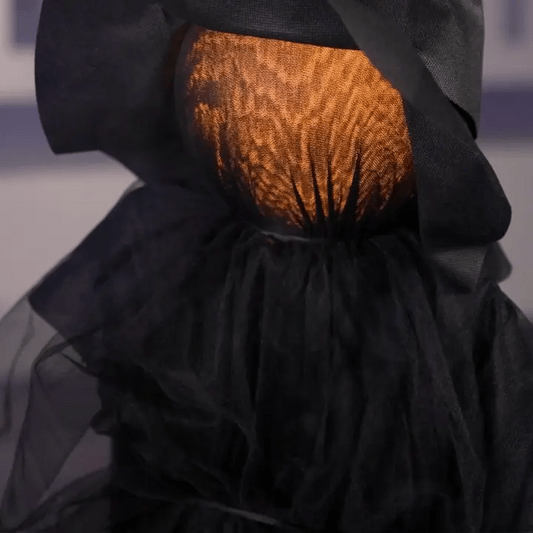 🧙‍♀️ SpookyGlow™ Halloween Witch Stake with Lights & Sound