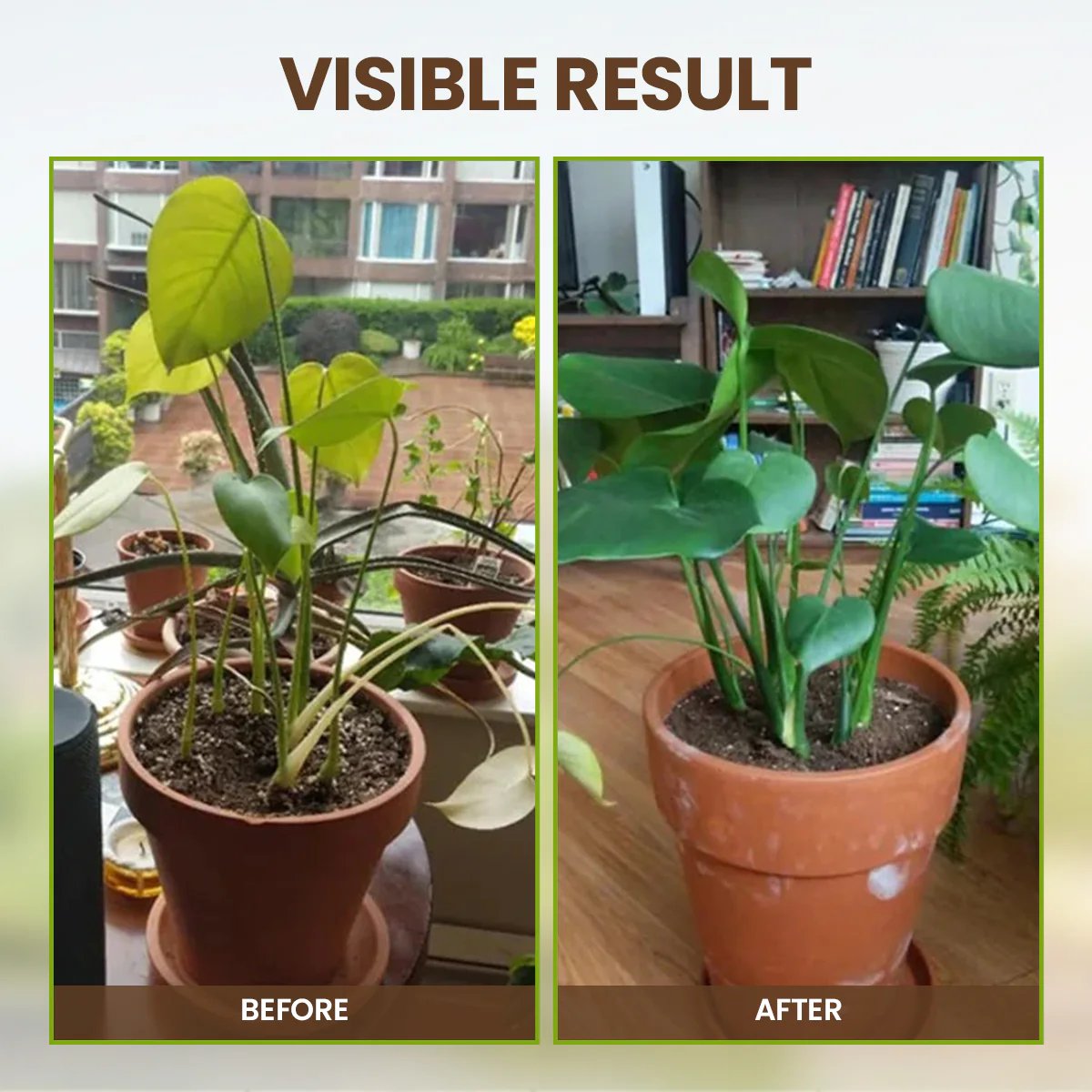🌸 Spring Garden Sale – Up To 72% OFF - Soil Pro Activator