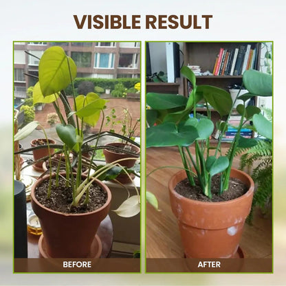 🌸 Spring Garden Sale – Up To 72% OFF - Soil Pro Activator