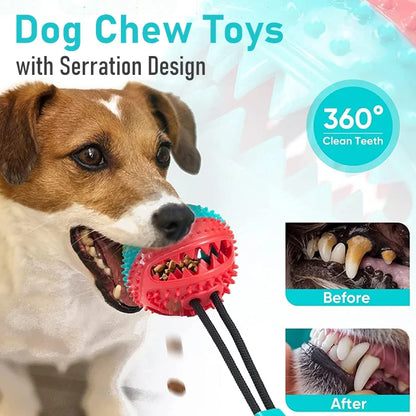 PawGrip Interactive Chew Ball