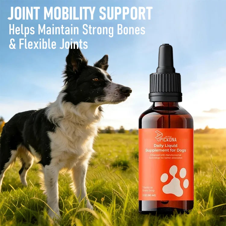 Daily Vitality Drops for Dogs