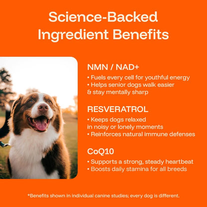 Daily Vitality Drops for Dogs