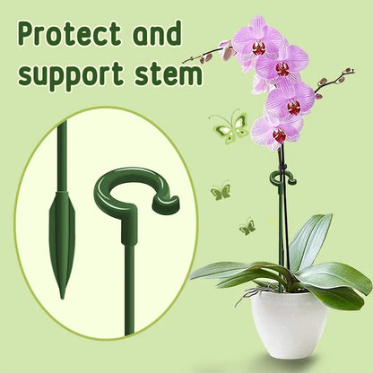🌿Plant Support Stakes with Rings – Durable Fiberglass Stem Holders