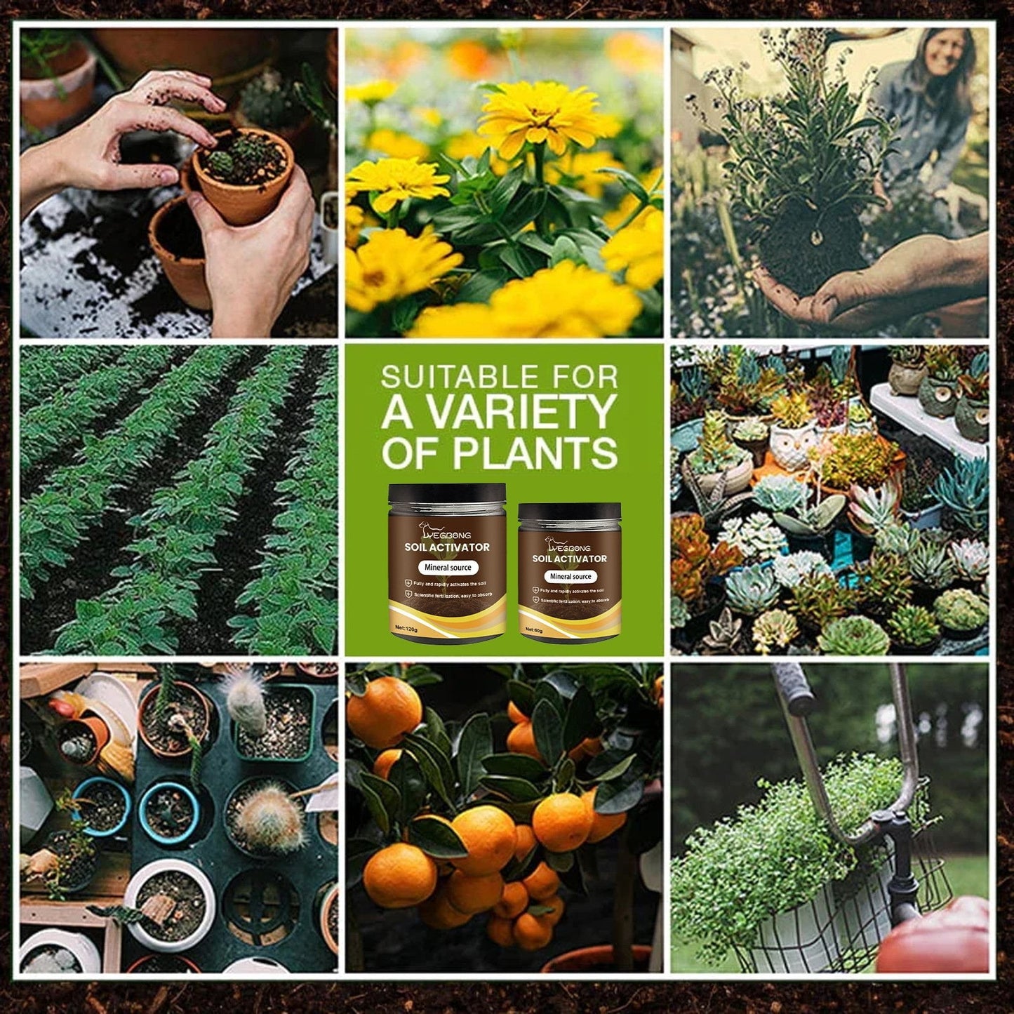 🌸 Spring Garden Sale – Up To 72% OFF - Soil Pro Activator