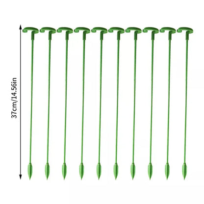 🌿Plant Support Stakes with Rings – Durable Fiberglass Stem Holders