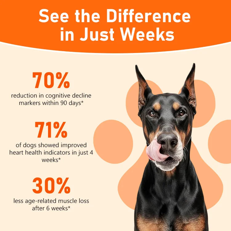 Daily Vitality Drops for Dogs