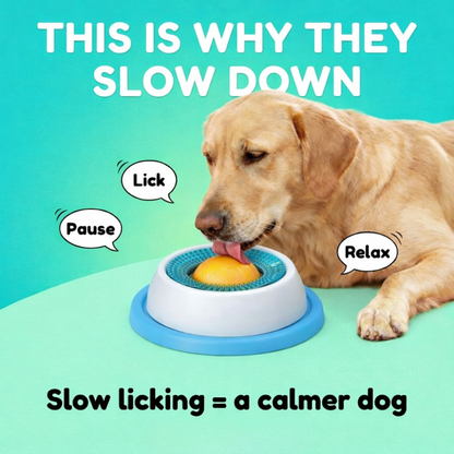 The Dog Bowl That Slows Down Fast Drinking