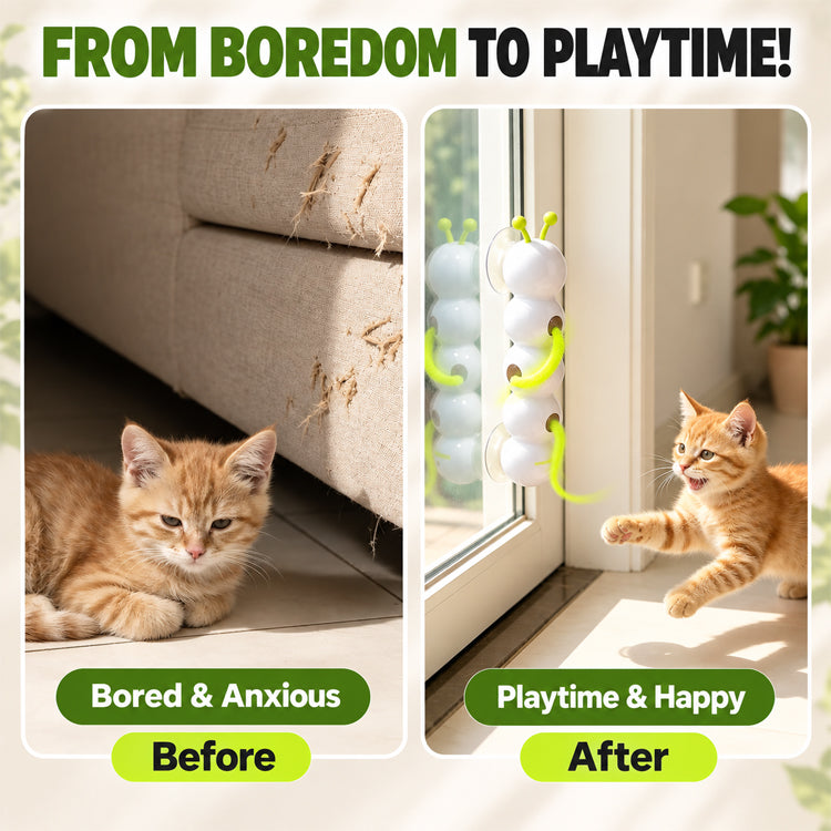 Motion-Activated Caterpillar Cat Toy – Rechargeable Suction Cup Feather Teaser