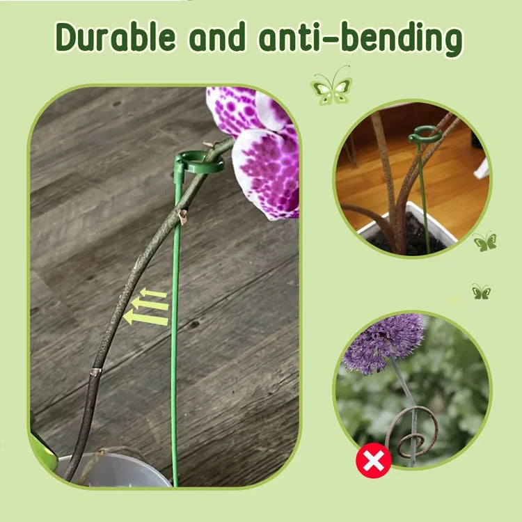 🌿Plant Support Stakes with Rings – Durable Fiberglass Stem Holders