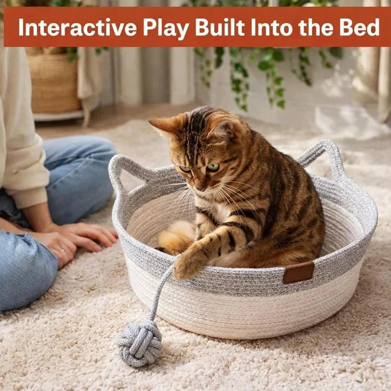 Sleep Scratch Play Basket