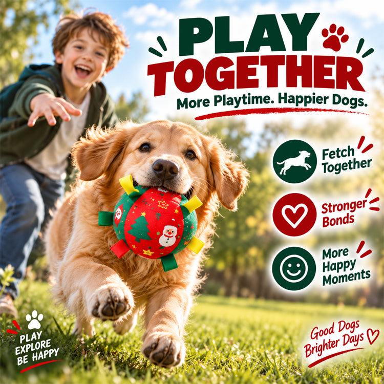Large Rechargeable Christmas Interactive Dog Ball