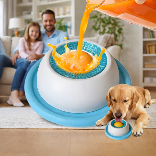 The Dog Bowl That Slows Down Fast Drinking