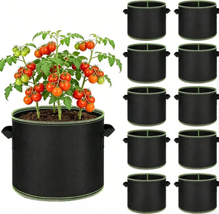12×10 in, 5 Gallon/10 pcs