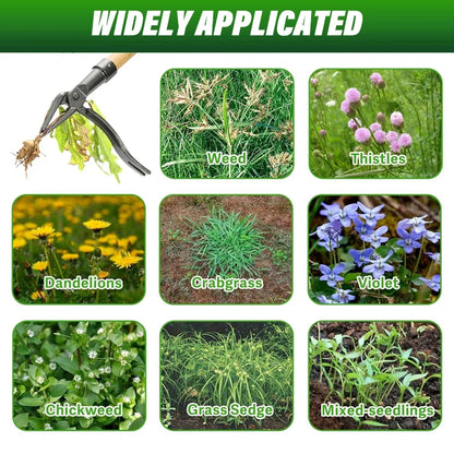 🌿 RootRipper™ Stand-Up Weed Puller