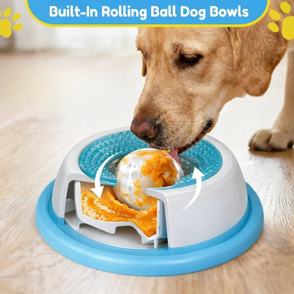 The Dog Bowl That Slows Down Fast Drinking