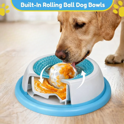 The Dog Bowl That Slows Down Fast Drinking
