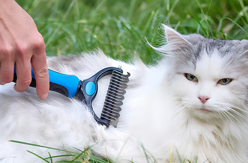 Trusted By Over 250,000+ Pet Parents Worldwide