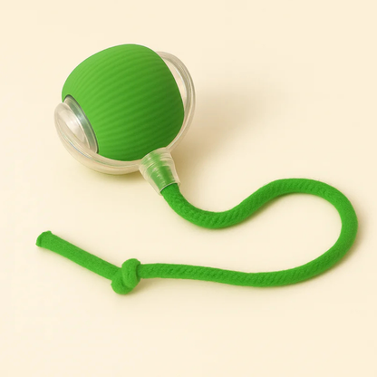 Rechargeable Automatic Smart Interactive Rolling Dog Ball Toy