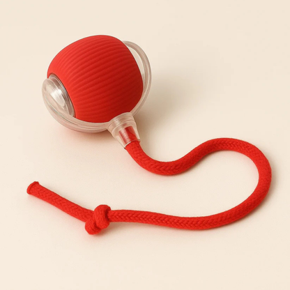 Rechargeable Automatic Smart Interactive Rolling Dog Ball Toy