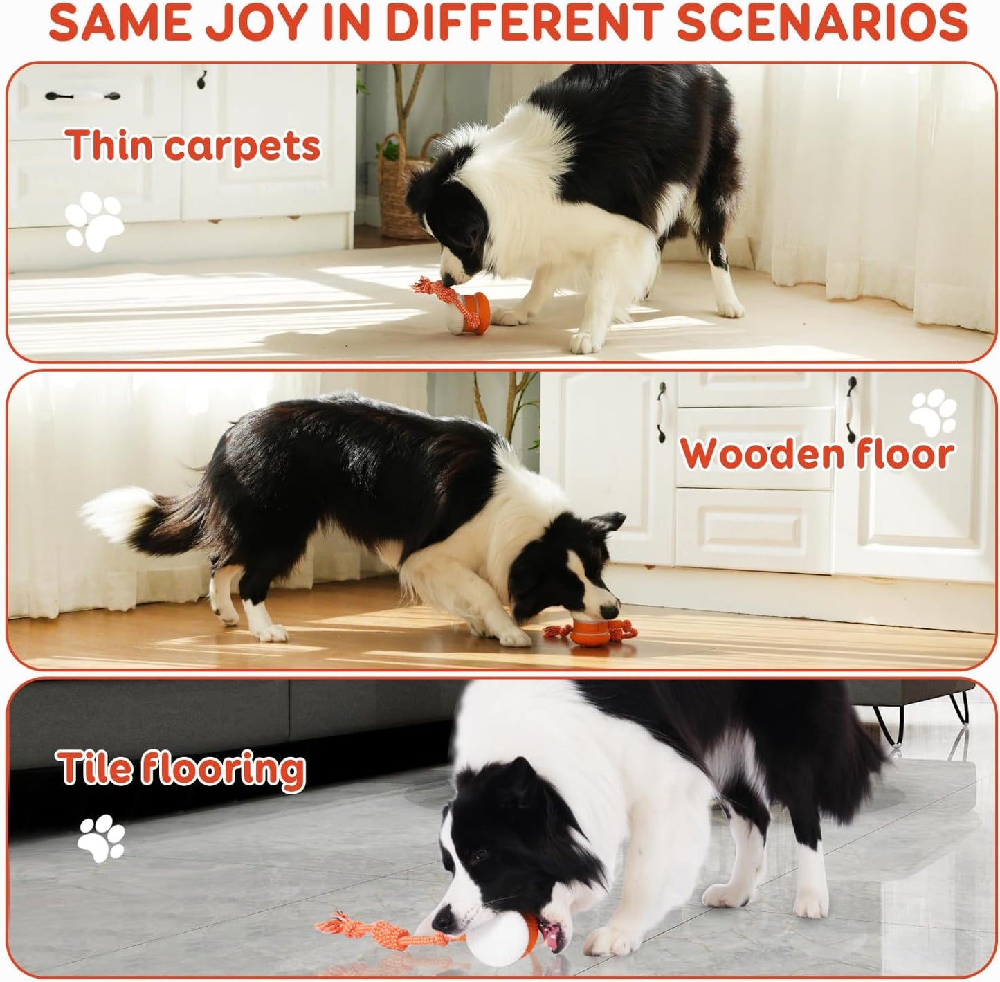 PetSkitter™ Automatic Moving Toy for Endless Pet Fun