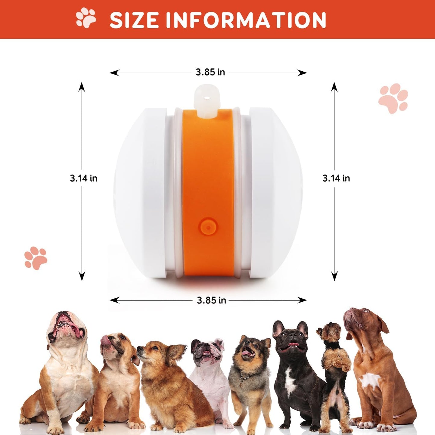 PetSkitter™ Automatic Moving Toy for Endless Pet Fun