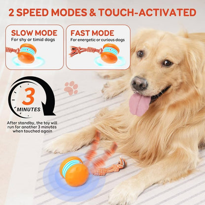 PetSkitter™ Automatic Moving Toy for Endless Pet Fun