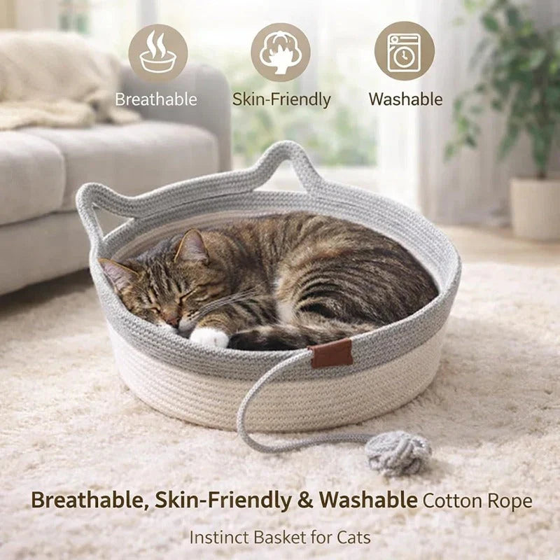 Sleep Scratch Play Basket