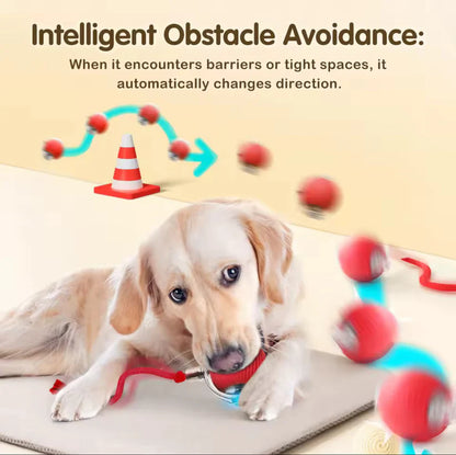 Rechargeable Automatic Smart Interactive Rolling Dog Ball Toy
