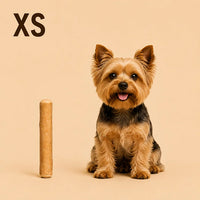 XS