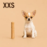 XXS