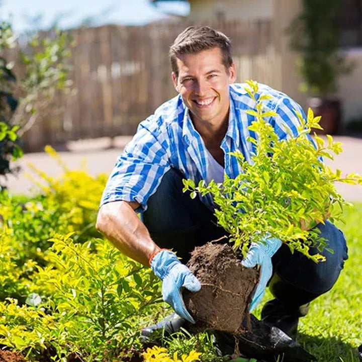 🌸 Spring Garden Sale – Up To 72% OFF - Soil Pro Activator