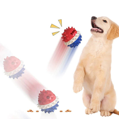 Interactive Self-Playing Pet Toy