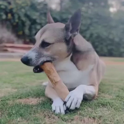 Original Natural Chew