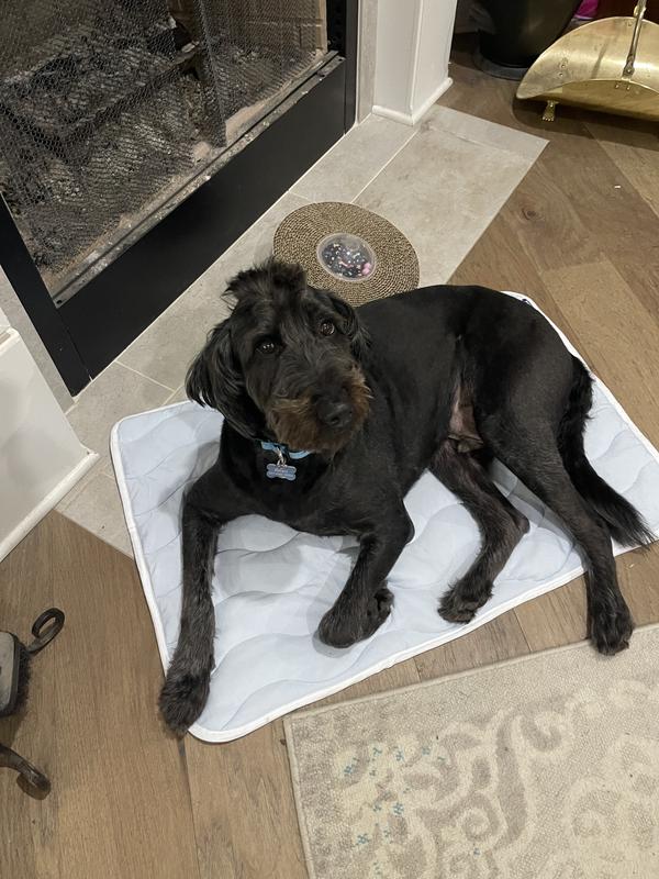 Diesel uses size XL